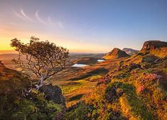 Schottland Schottland